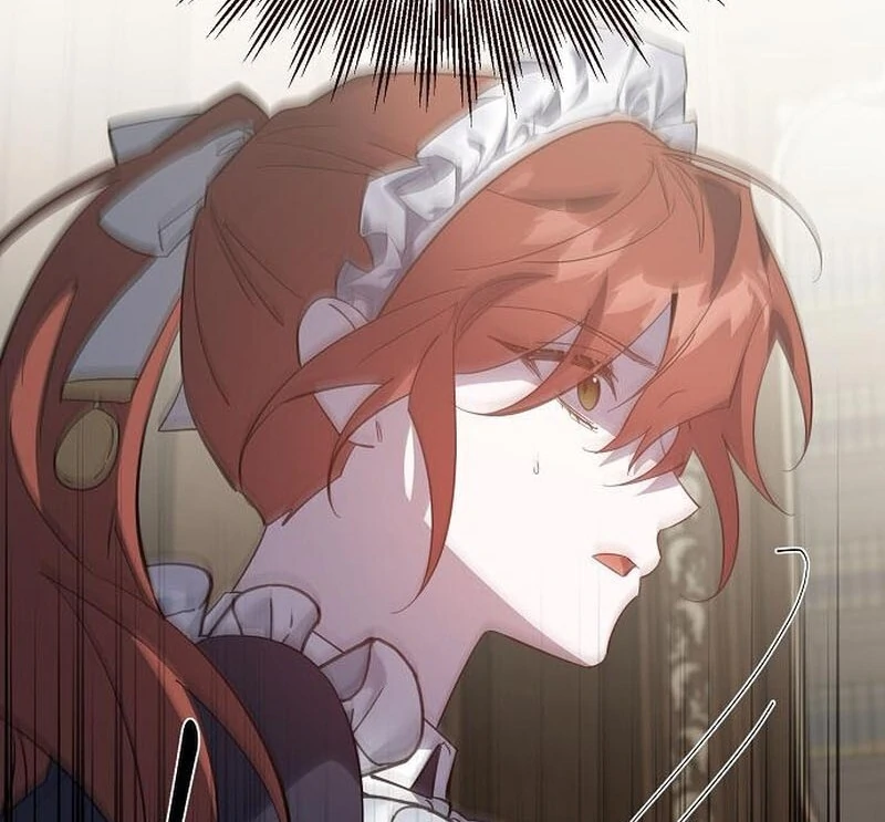 A Revenge Guide for the Terminally Ill Maid Chapter 42 - Page 97