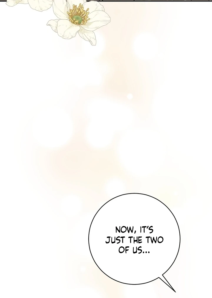 Absolute Adoration Chapter 2 - Page 42