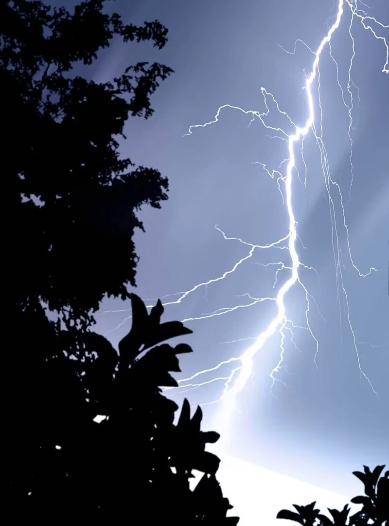 After The Novel Villains Heard My Inner Voice Chapter 1 - Page 8