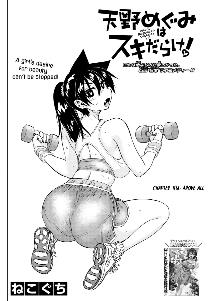 Amano Megumi wa Suki Darake! Chapter 184 - Page 2