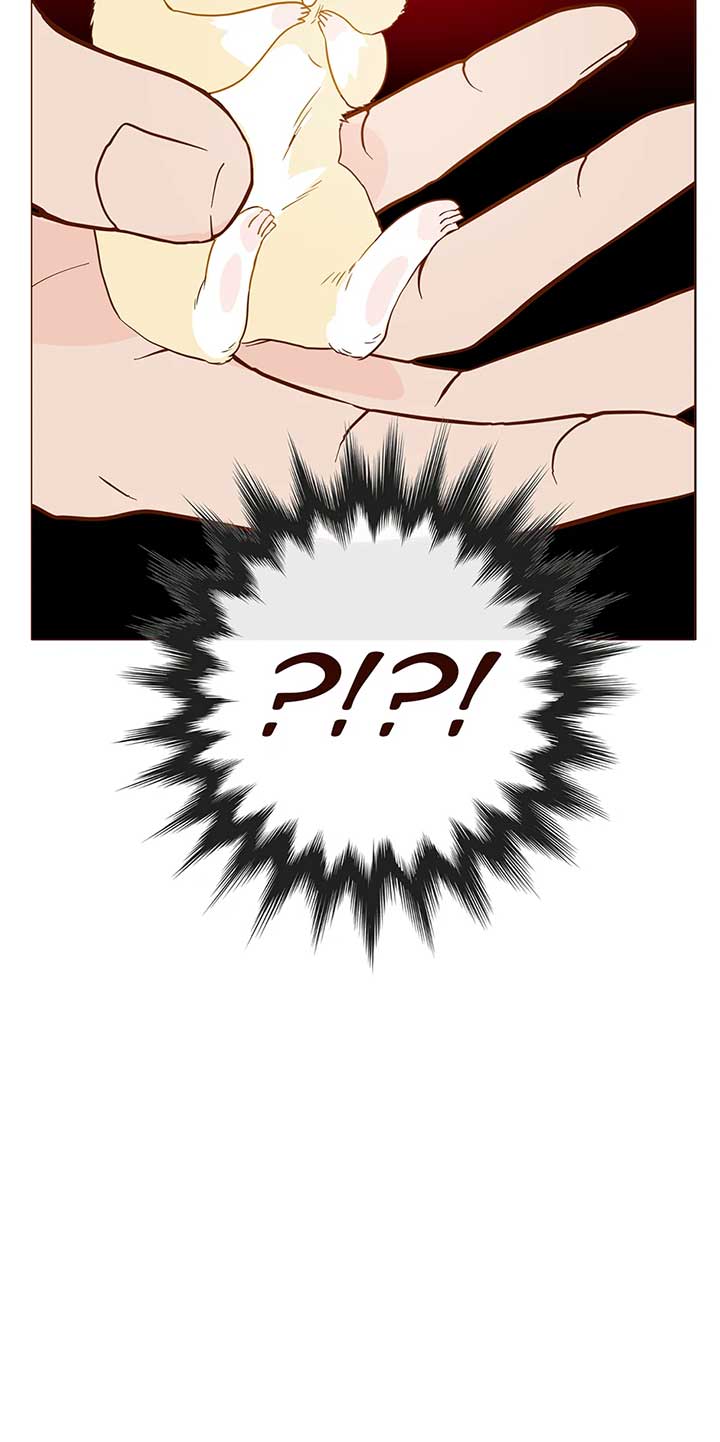 Bear With Me Chapter 38 - Page 4