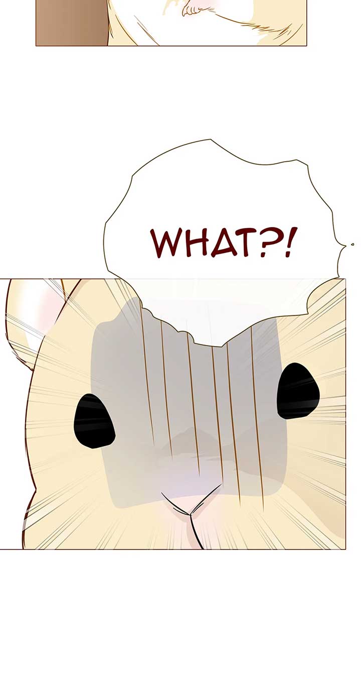 Bear With Me Chapter 38 - Page 64