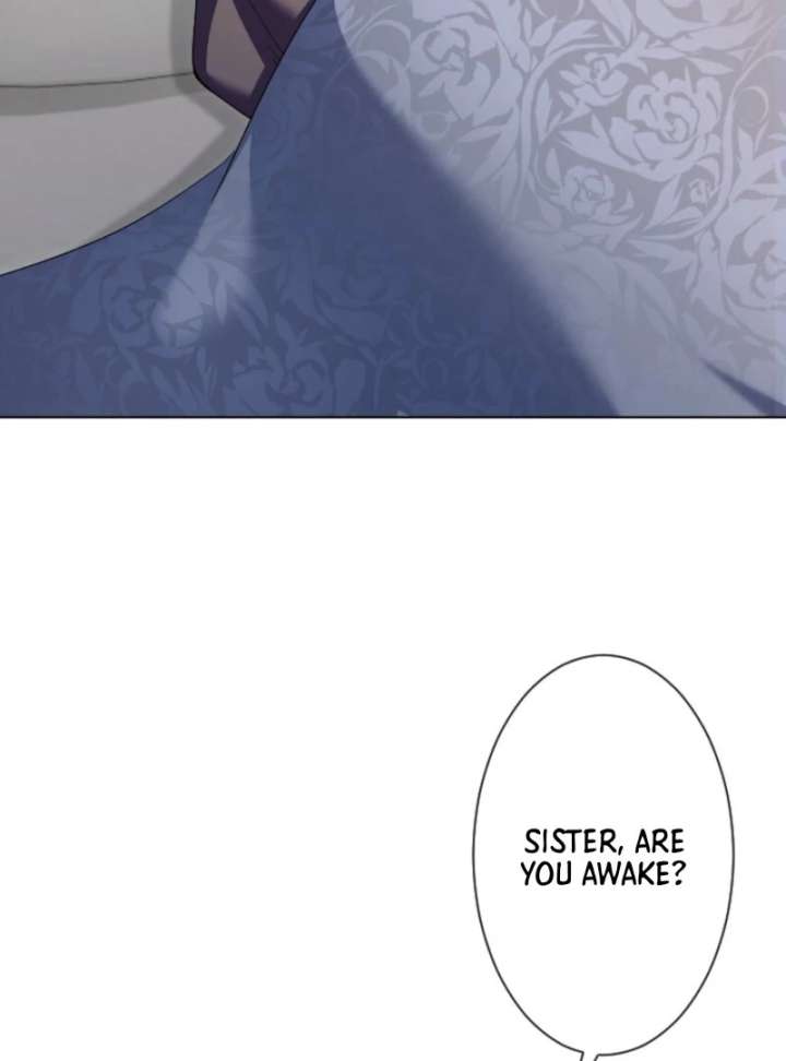 Behold The Perfect Villainess Chapter 1 - Page 25