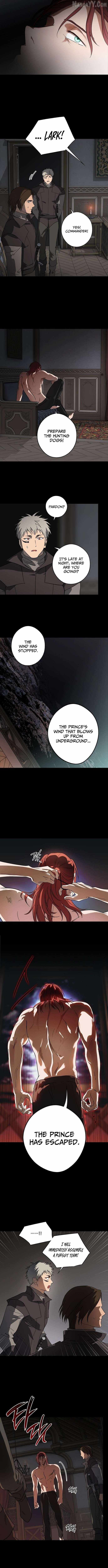 Blinded by the Setting Sun Chapter 216 - Page 8