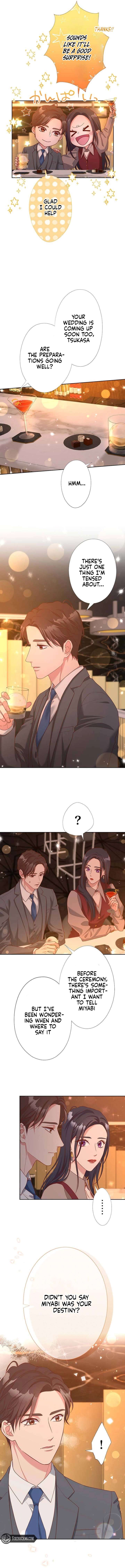 Business Marriage – If You Fall in Love, We’ll Get a Divorce Chapter 72 - Page 8