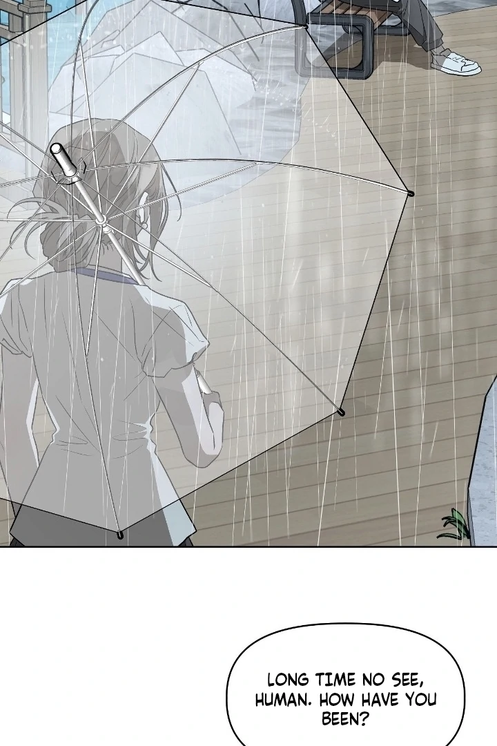 Can You Catch Mermaids While Fishing? Chapter 23 - Page 40