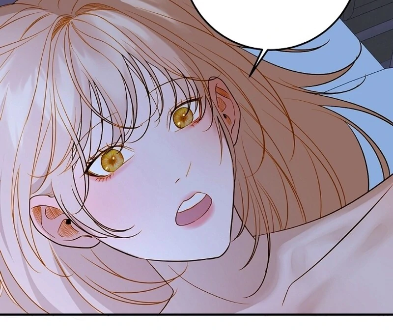 Cassnier’s Secret Memoirs Chapter 17 - Page 48