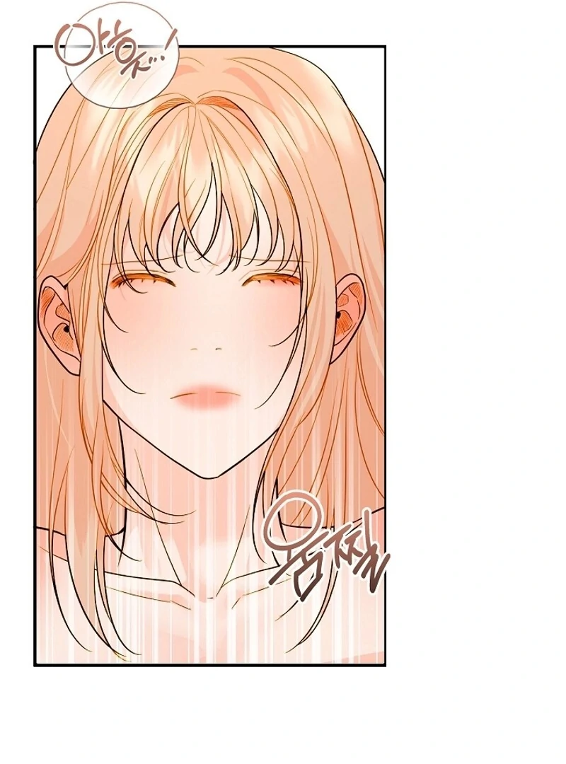 Cassnier’s Secret Memoirs Chapter 17 - Page 67