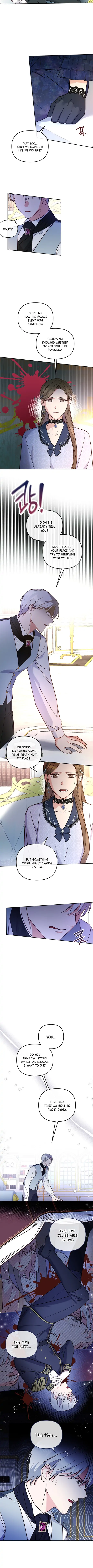 Cat in the Chrysalis Chapter 12 - Page 5