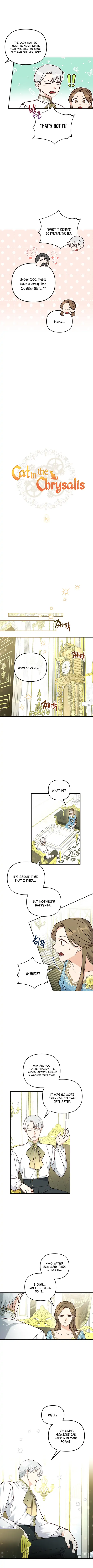 Cat in the Chrysalis Chapter 16 - Page 2