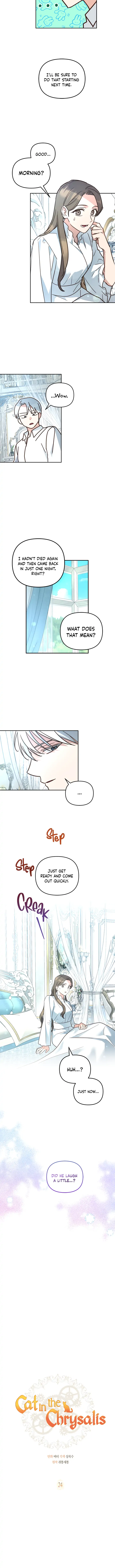 Cat in the Chrysalis Chapter 24 - Page 8
