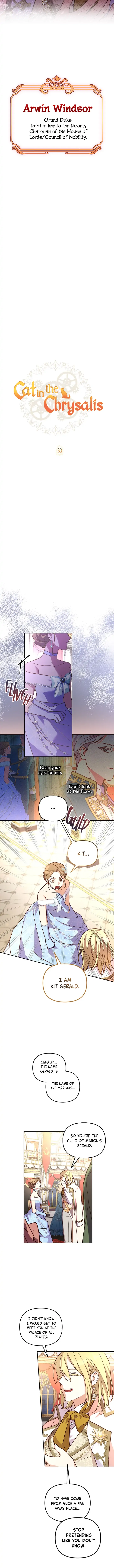 Cat in the Chrysalis Chapter 30 - Page 7