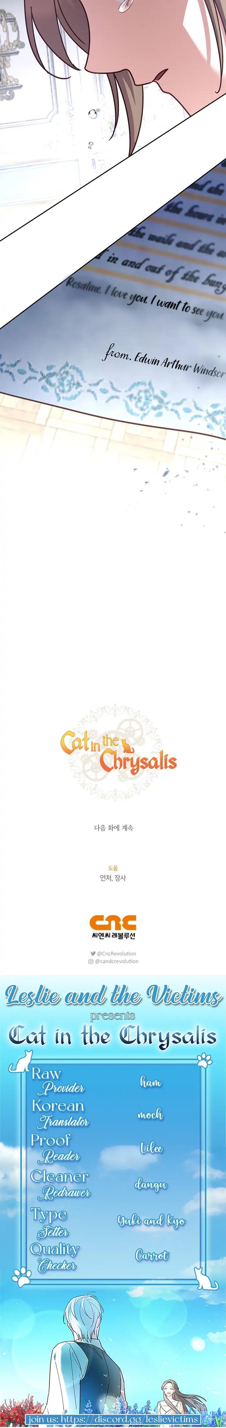 Cat in the Chrysalis Chapter 34 - Page 26