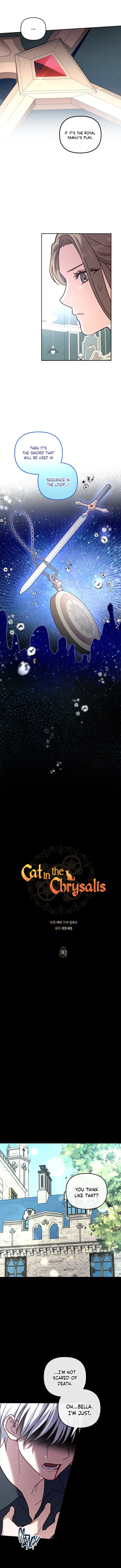 Cat in the Chrysalis Chapter 40 - Page 13