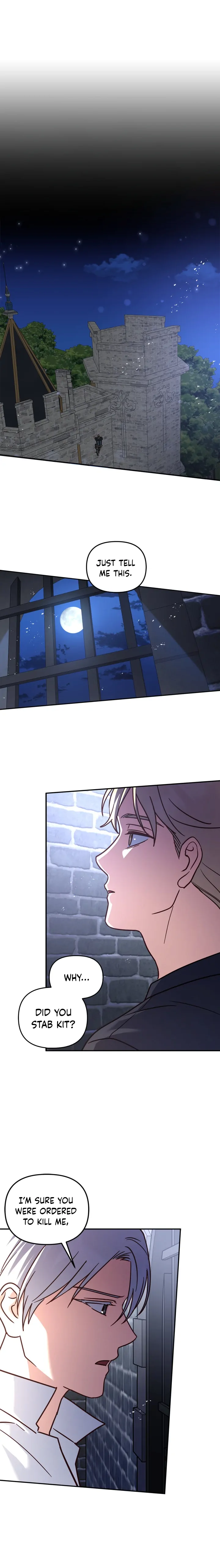 Cat in the Chrysalis Chapter 48 - Page 1