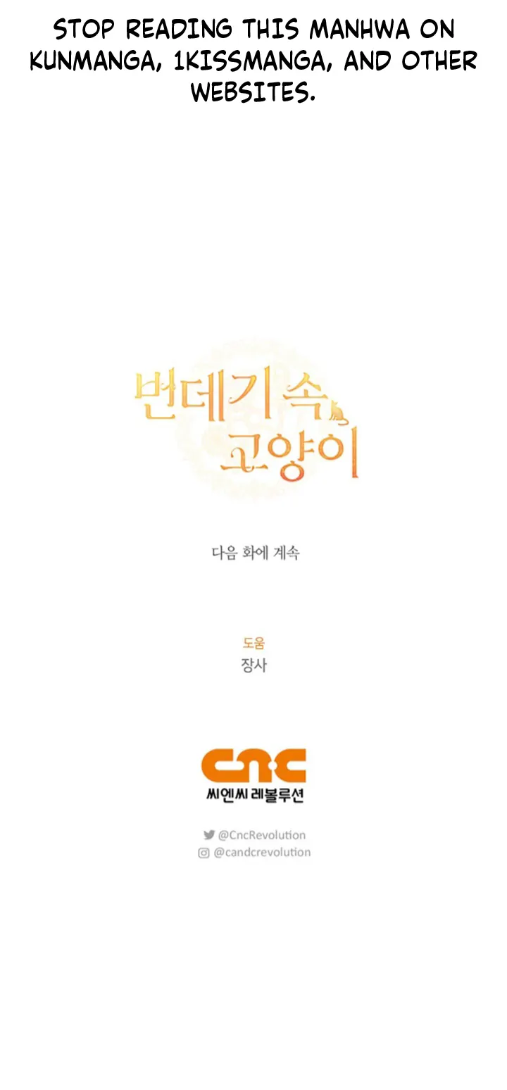 Cat in the Chrysalis Chapter 57 - Page 19