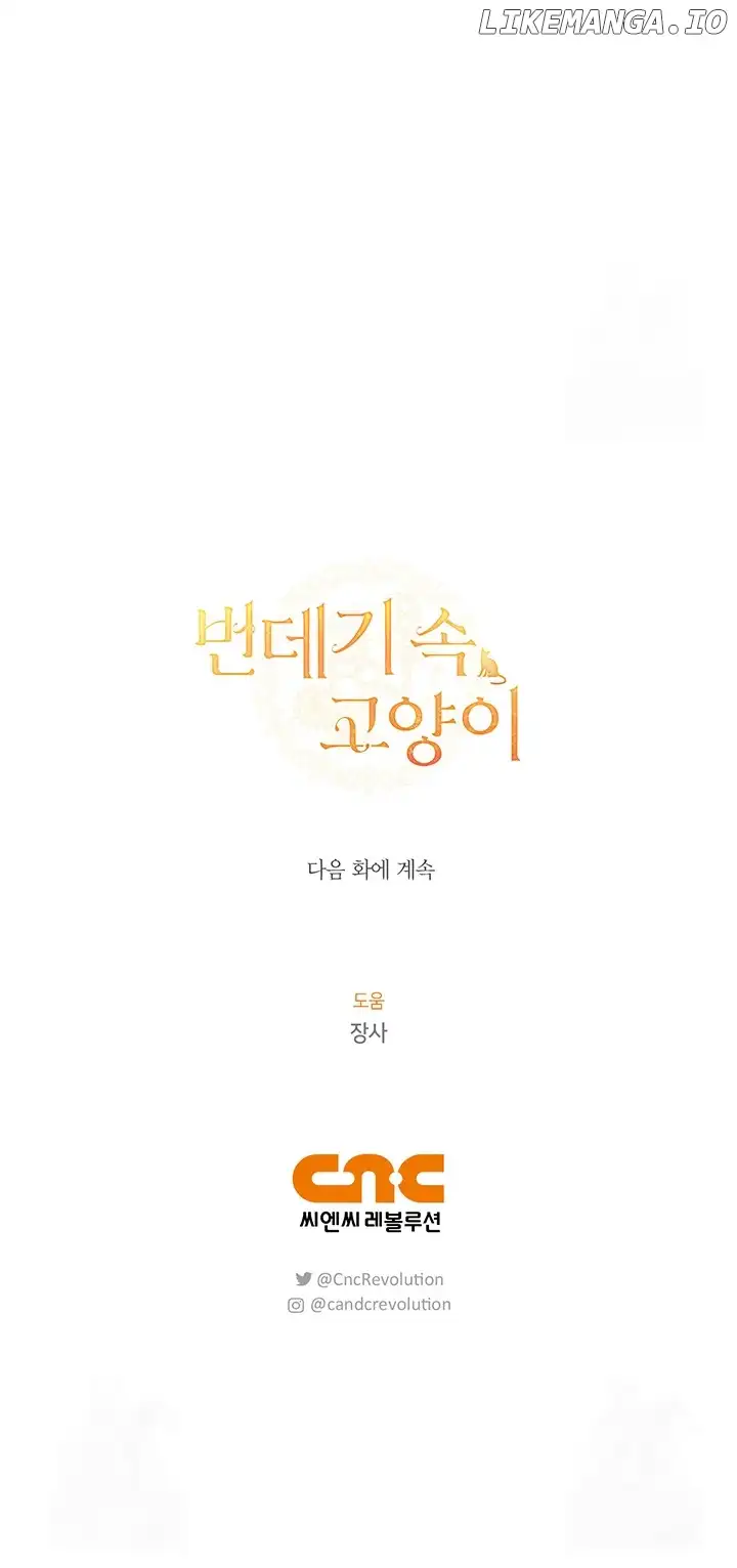 Cat in the Chrysalis Chapter 61 - Page 19