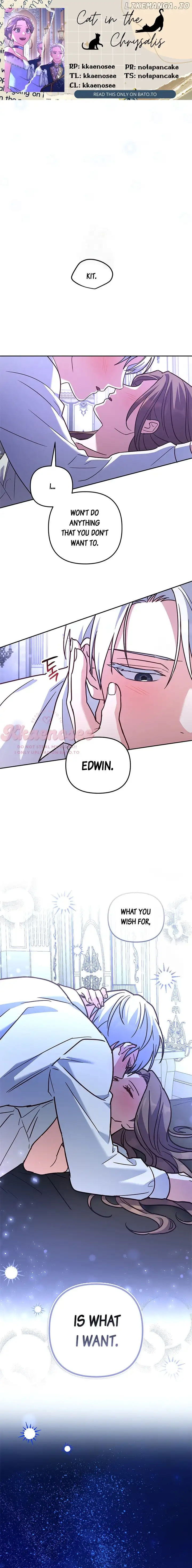 Cat in the Chrysalis Chapter 62 - Page 1