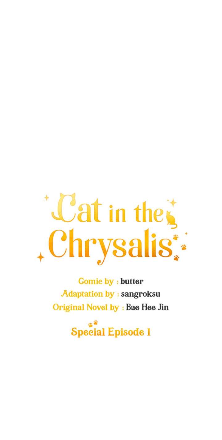Cat in the Chrysalis Chapter 75 - Page 1