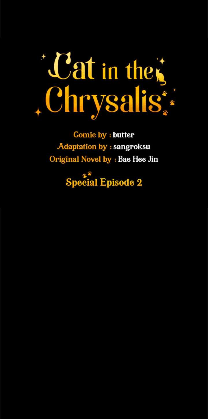 Cat in the Chrysalis Chapter 76 - Page 31