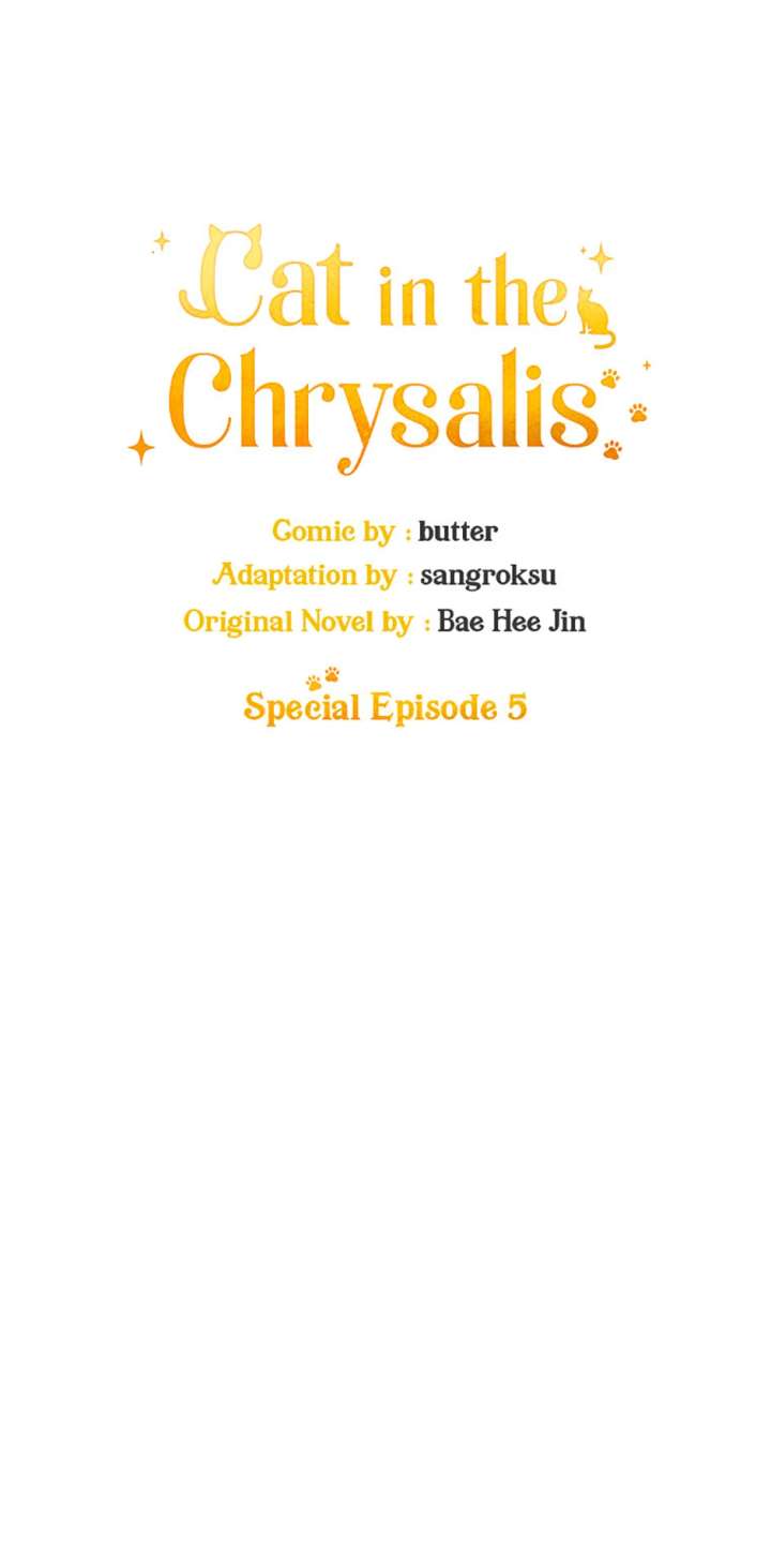 Cat in the Chrysalis Chapter 79 - Page 5