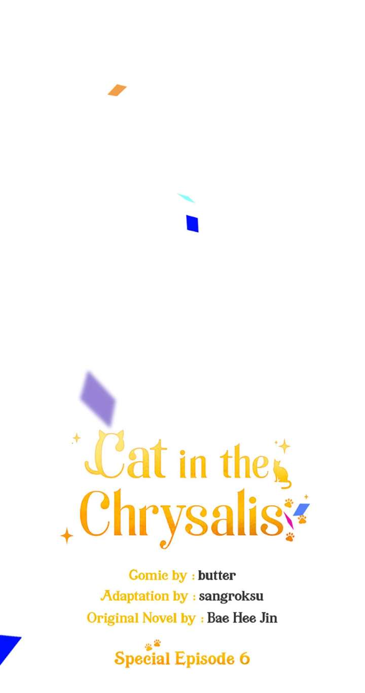 Cat in the Chrysalis Chapter 80 - Page 17