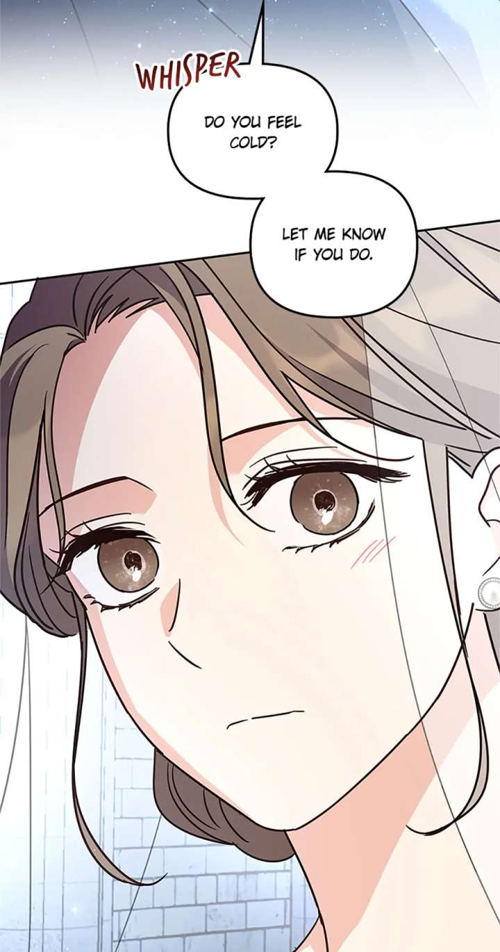 Cat in the Chrysalis Chapter 80 - Page 28