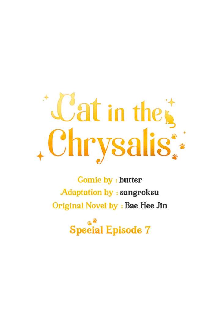 Cat in the Chrysalis Chapter 81 - Page 9
