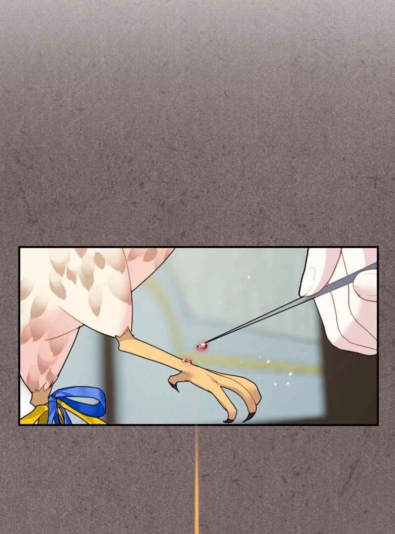 Cavier Falcon Princess Chapter 143 - Page 61