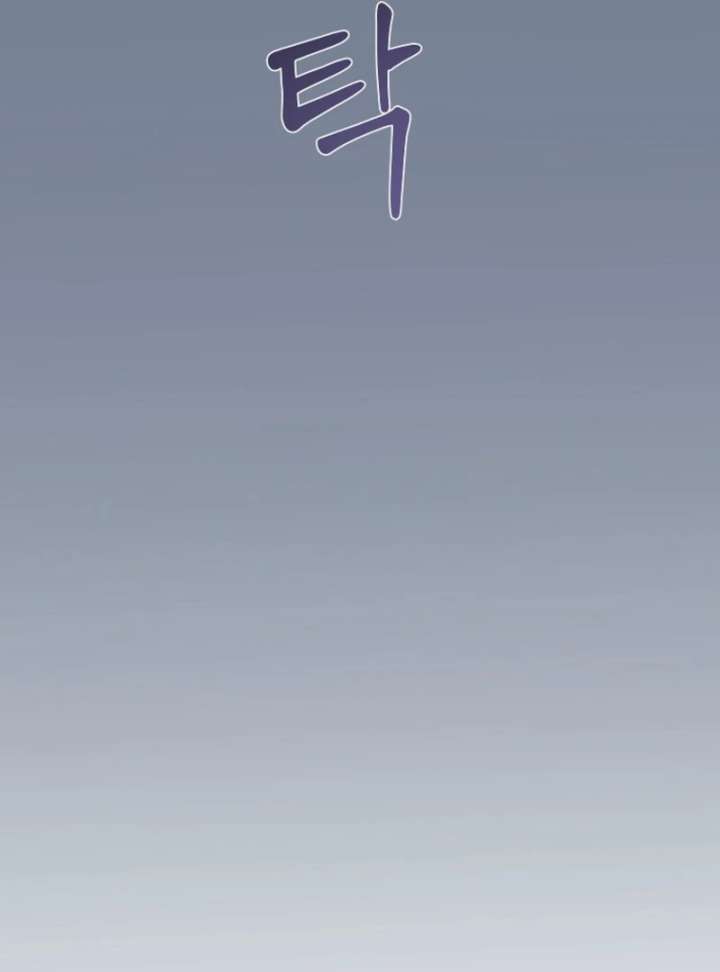 Cavier Falcon Princess Chapter 144 - Page 42