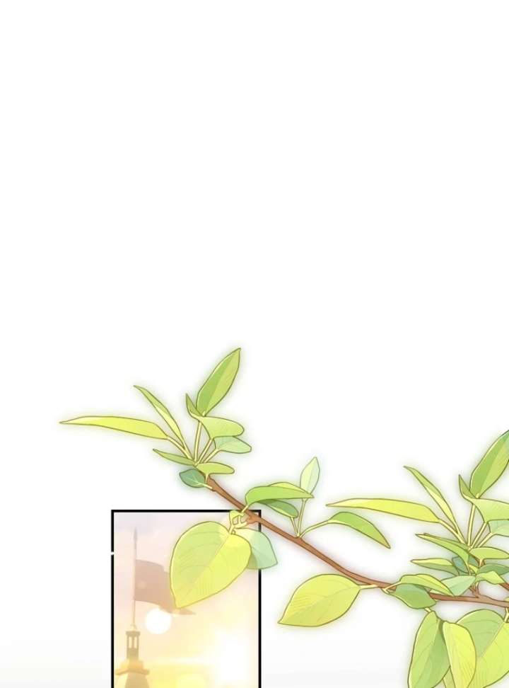 Cavier Falcon Princess Chapter 144 - Page 61