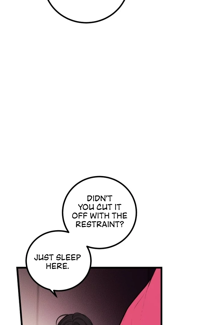 Complete Conquest Chapter 2 - Page 117