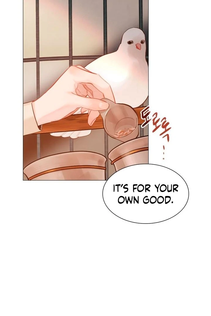 Cry, Even Better if You Beg Chapter 65 - Page 40