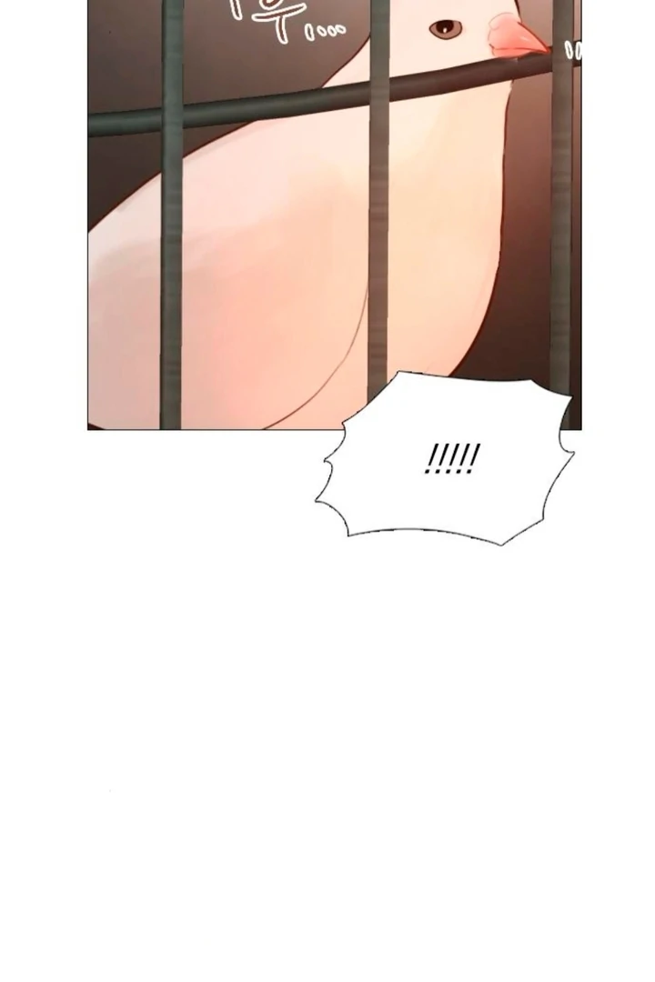 Cry, Even Better if You Beg Chapter 66 - Page 91