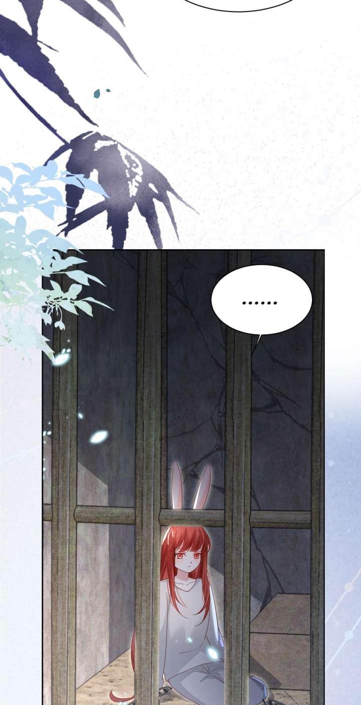 Cynical Master Raises Rabbit Spirit Chapter 80 - Page 4