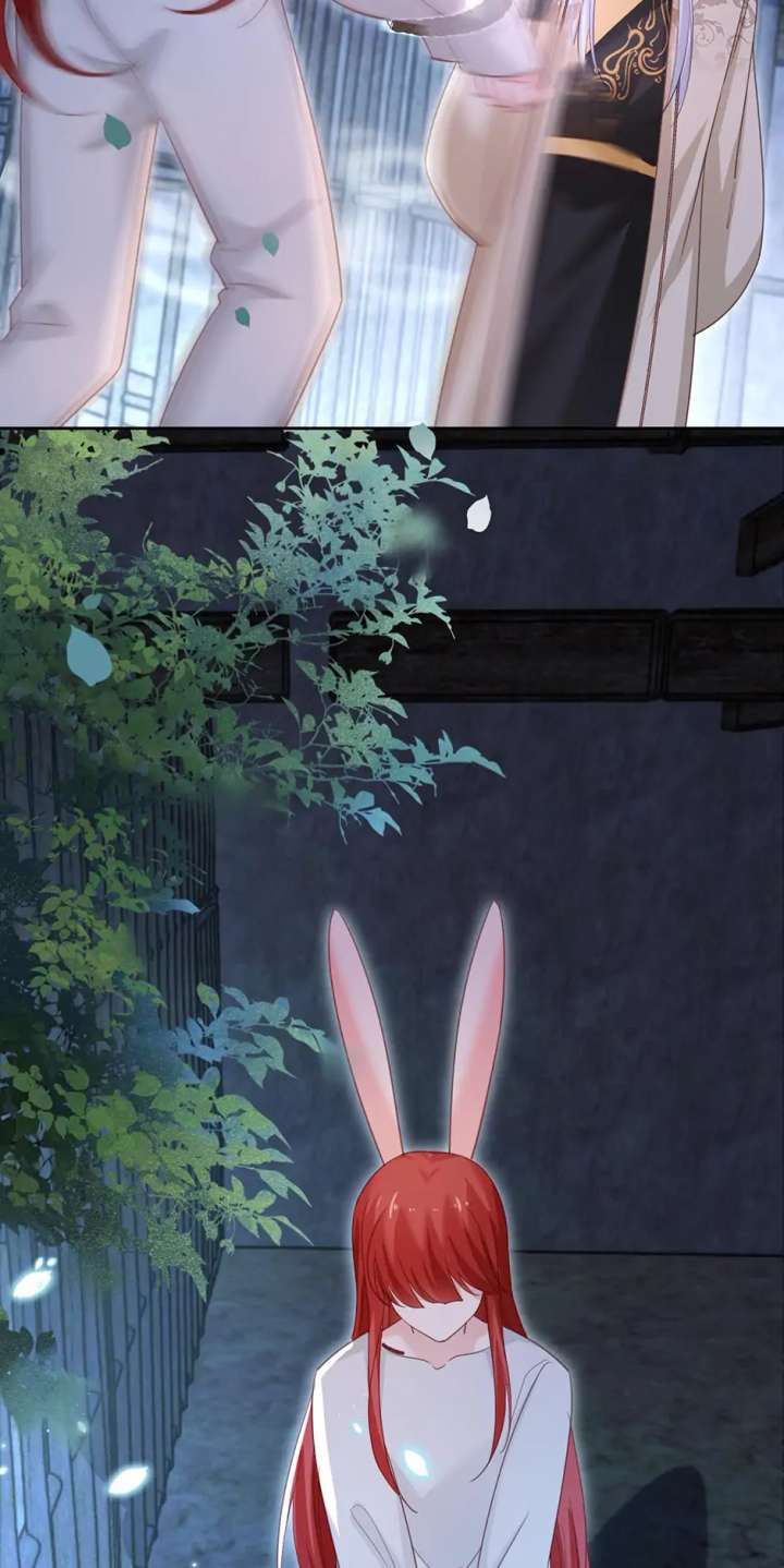 Cynical Master Raises Rabbit Spirit Chapter 81 - Page 6