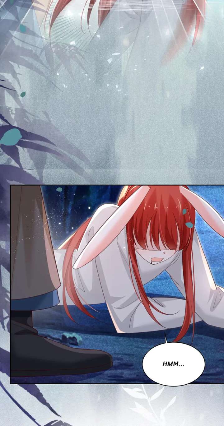 Cynical Master Raises Rabbit Spirit Chapter 82 - Page 3