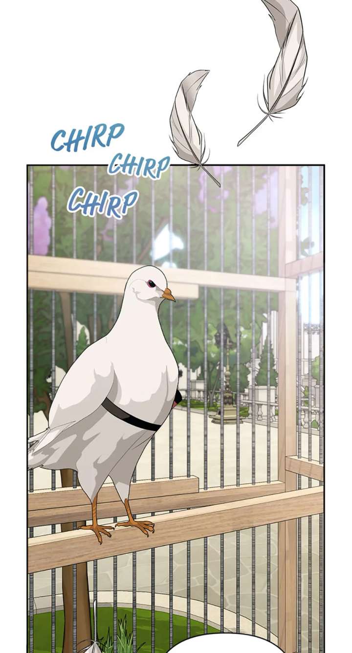 Divorce Is the Condition Chapter 70 - Page 77