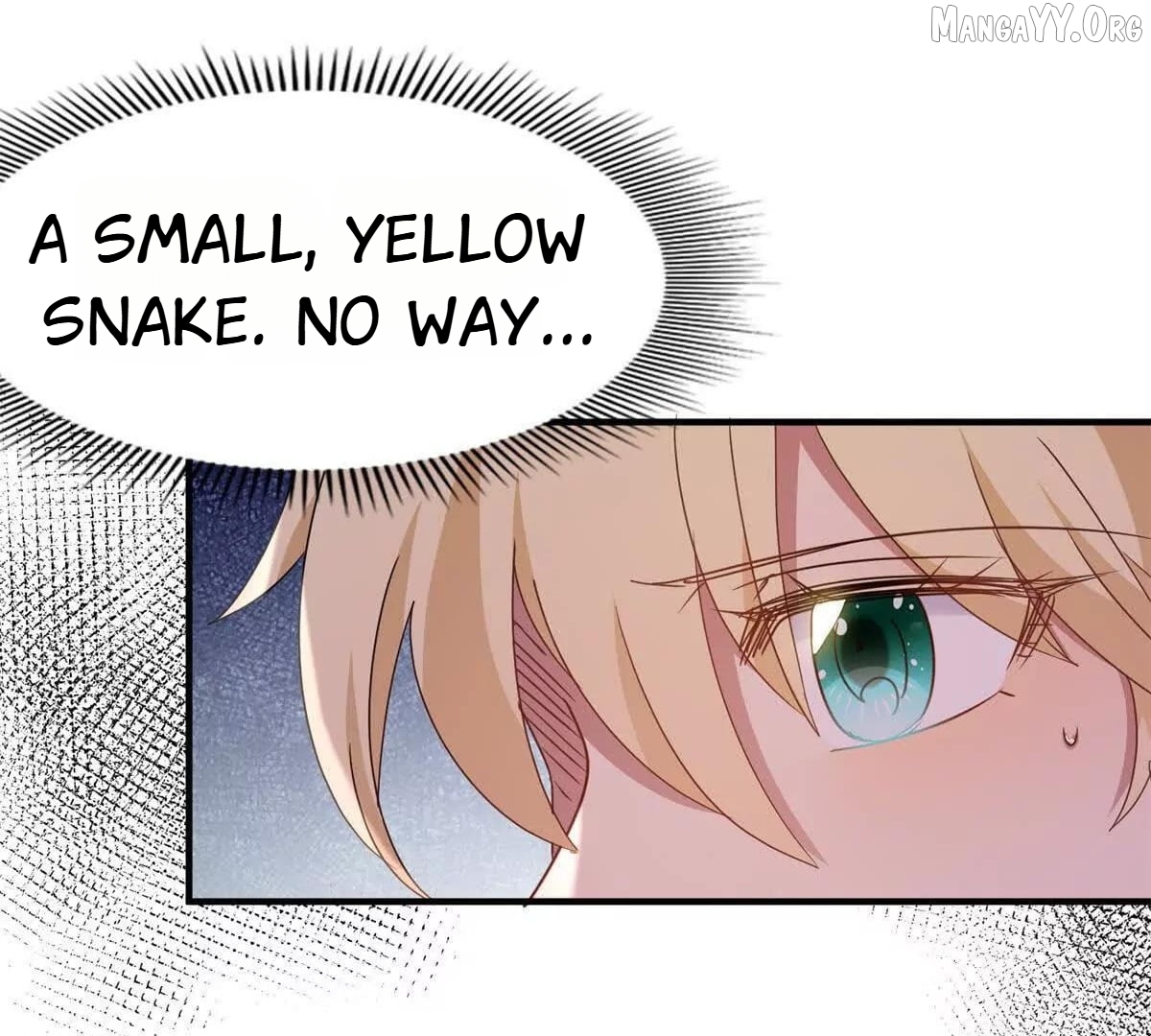 Don’t Embarrass Me Chapter 167 - Page 50