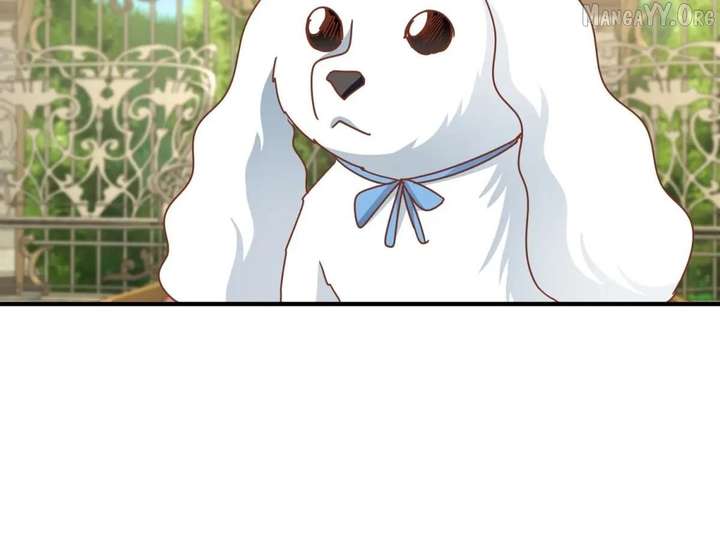 Don’t Embarrass Me Chapter 186 - Page 48