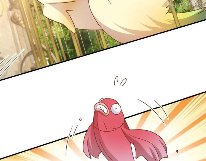 Don’t Embarrass Me Chapter 186 - Page 50