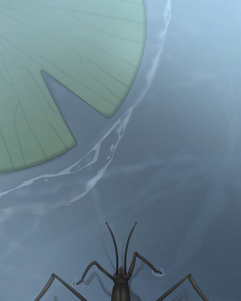 Don’t Enter the House Pool Chapter 2 - Page 1