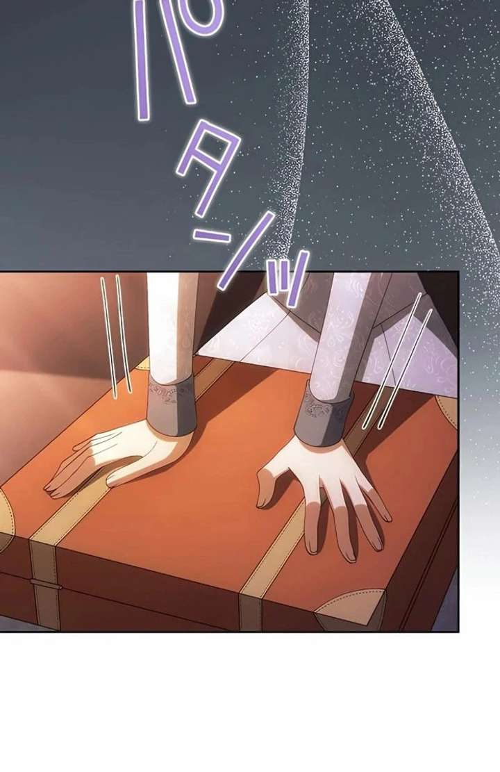 Don’t Obsess Over the Fake Princess! Chapter 13 - Page 45