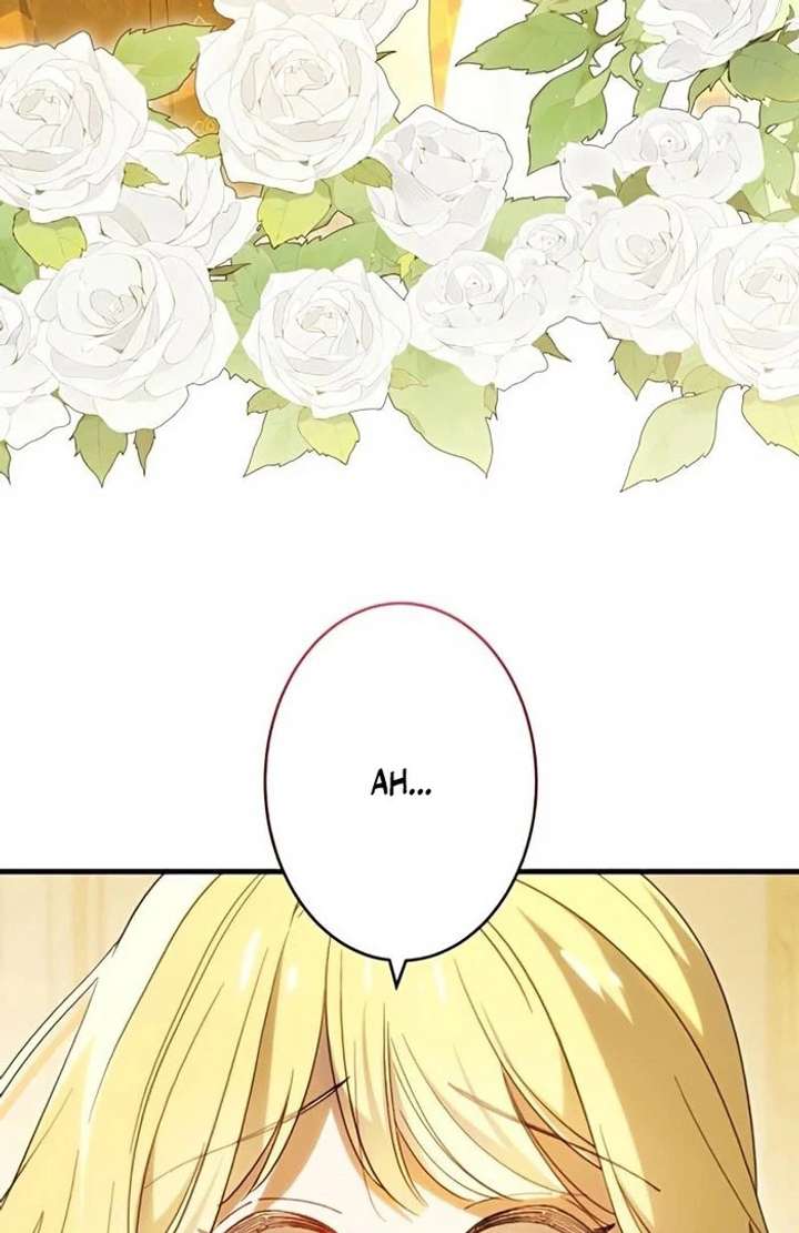 Don’t Obsess Over the Fake Princess! Chapter 13 - Page 66