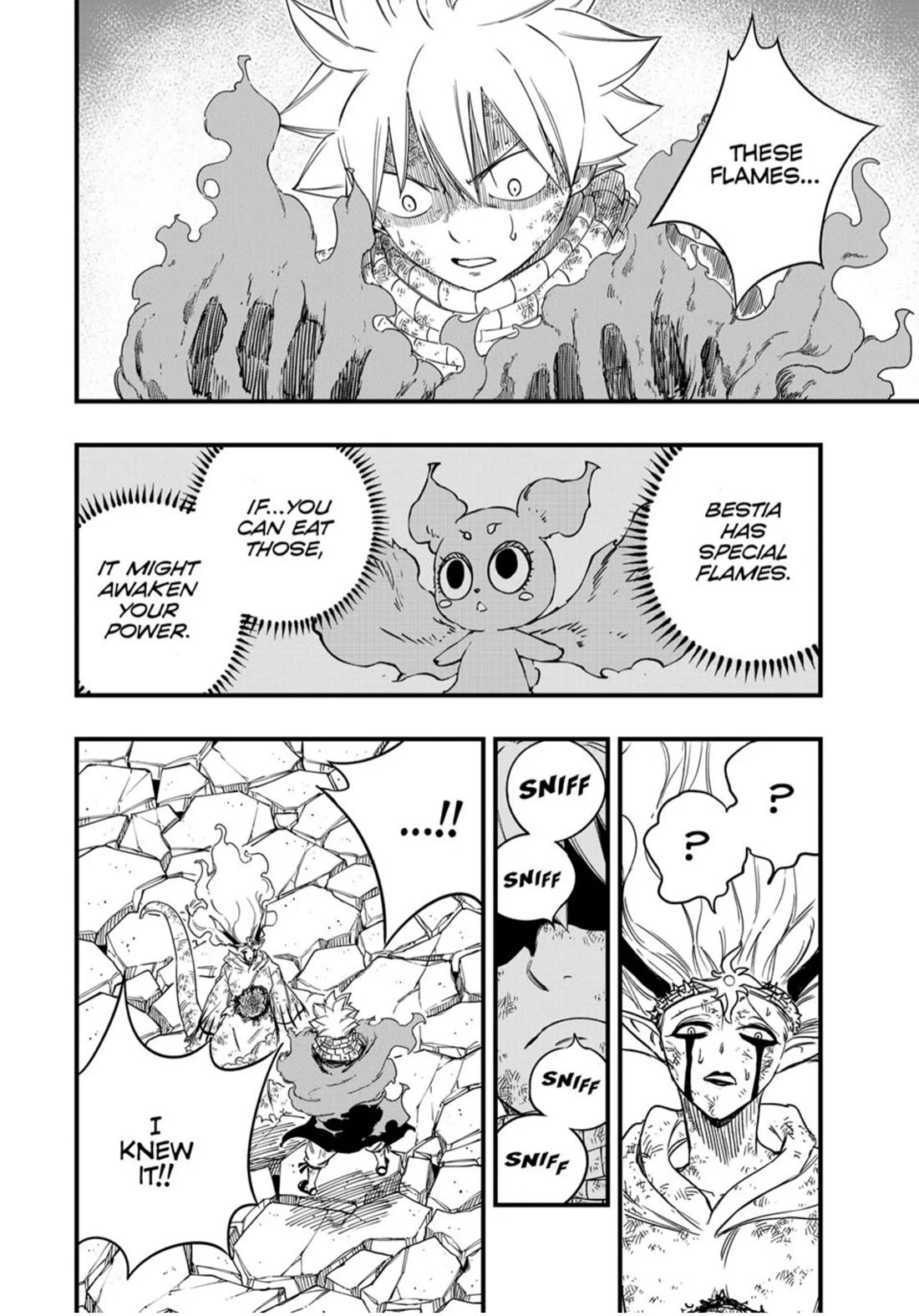 Fairy Tail: 100 Years Quest Chapter 197 - Page 14