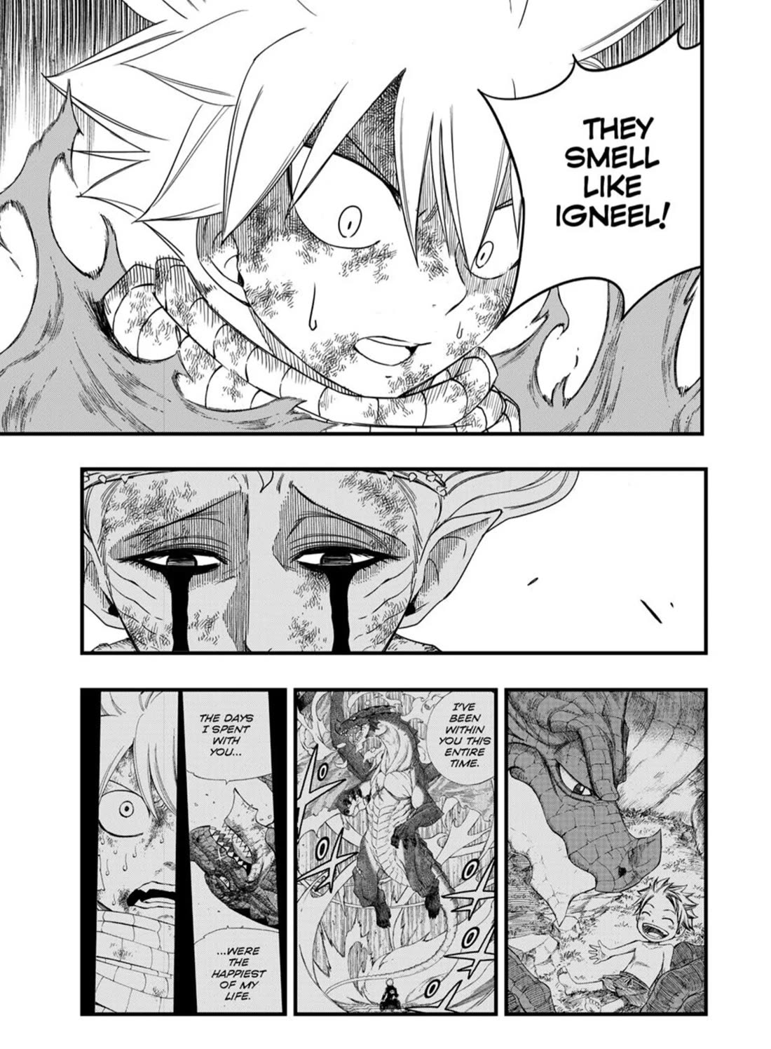 Fairy Tail: 100 Years Quest Chapter 197 - Page 15