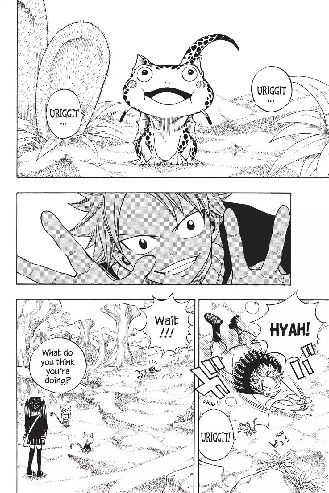 Fairy Tail Chapter 171 - Page 13
