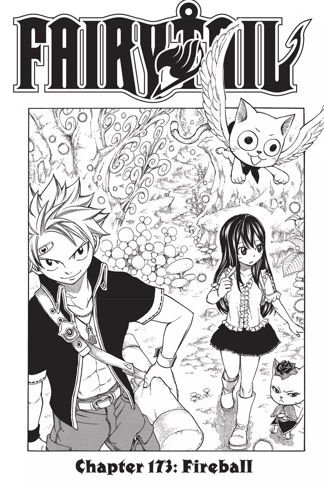 Fairy Tail Chapter 173 - Page 1