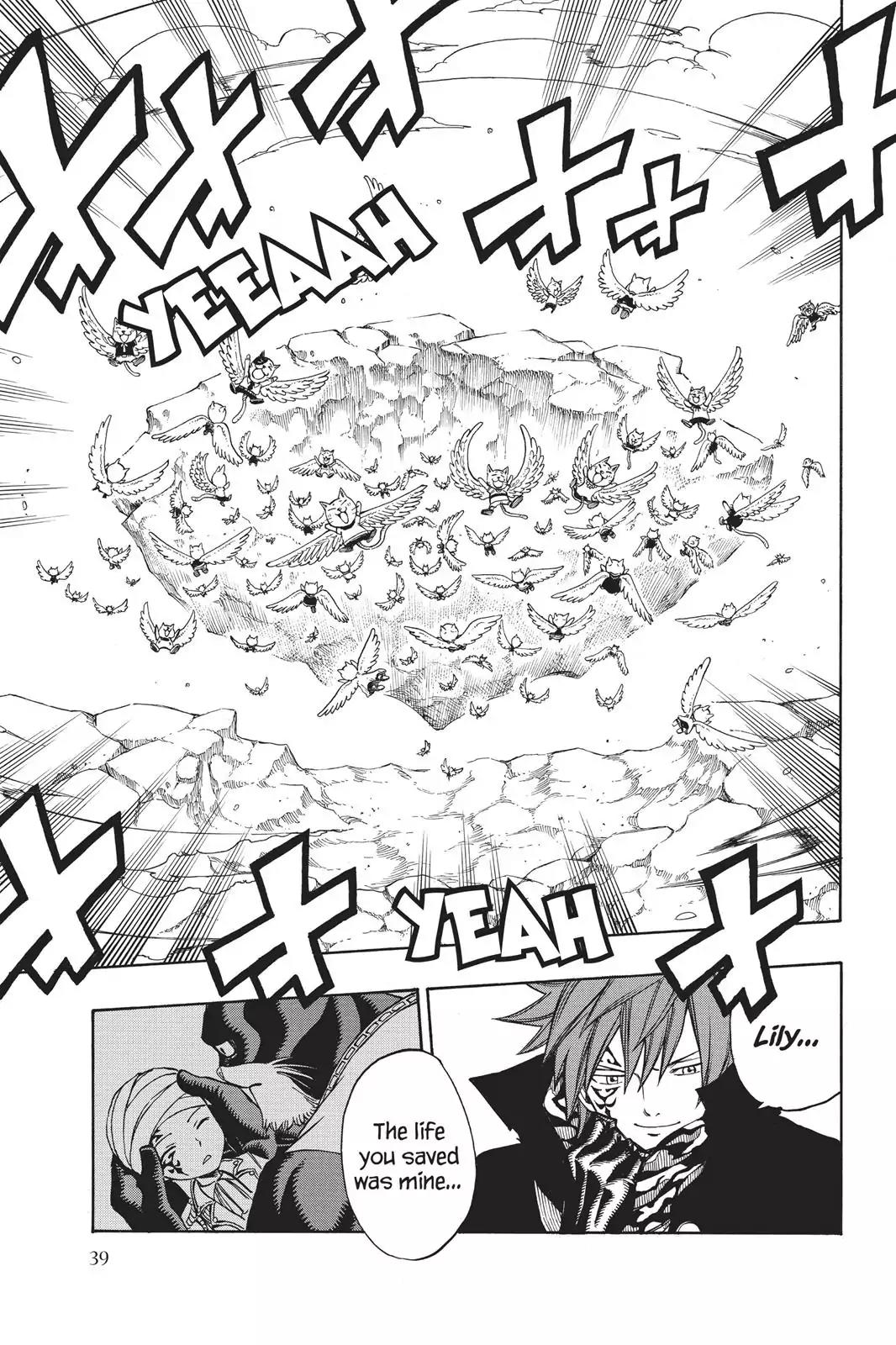 Fairy Tail Chapter 189 - Page 17