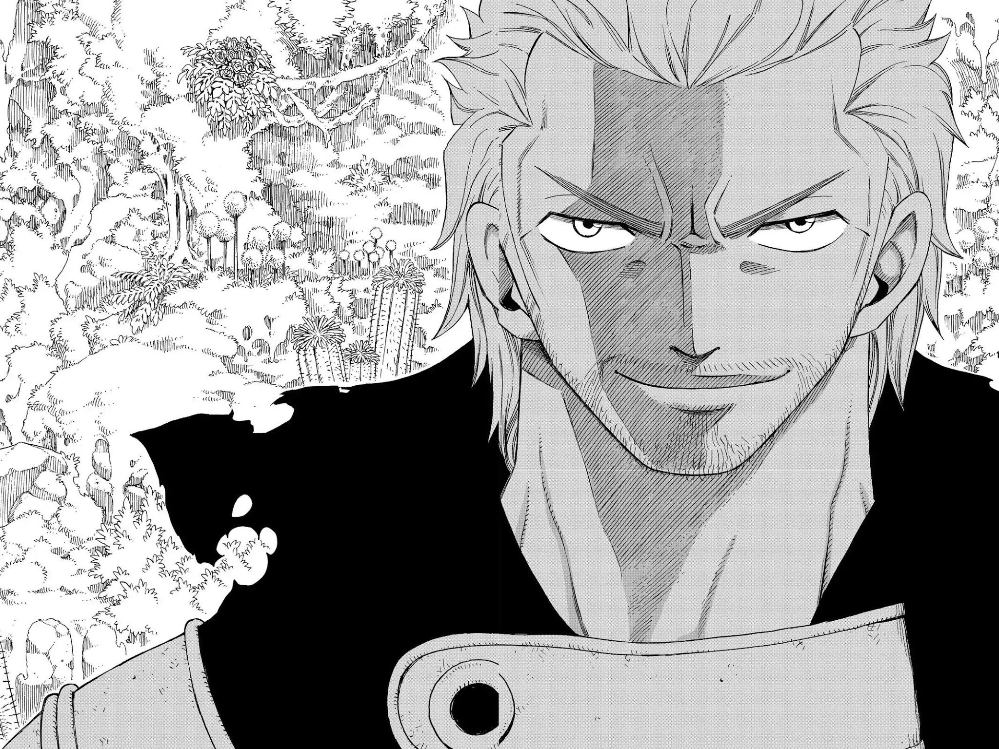 Fairy Tail Chapter 204 - Page 18